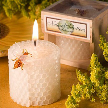 Suministros para fiesta de cum - Soy Wax reseña y precio