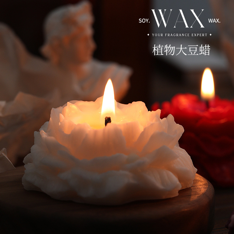 Velas aromáticas de Camelia, a - Soy Wax reseña y precio